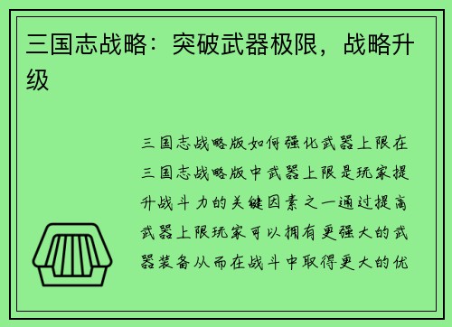 三国志战略：突破武器极限，战略升级